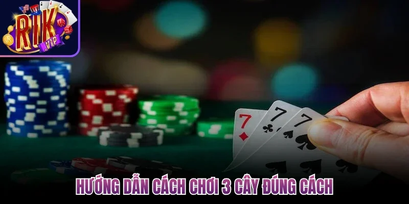 Hướng dẫn cách chơi 3 cây đúng cách